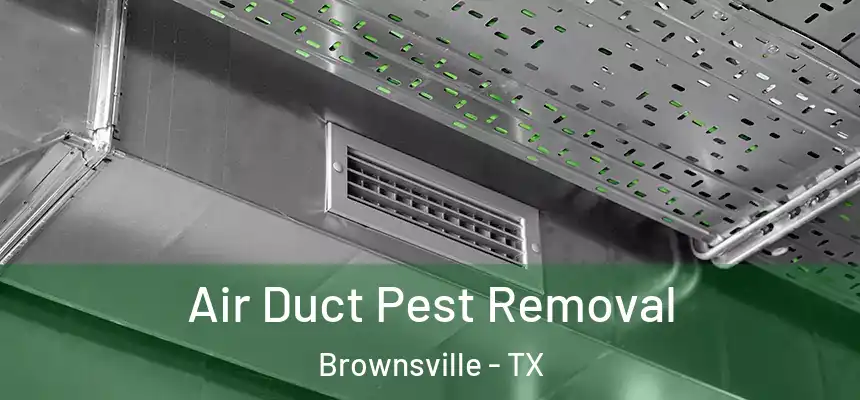  Air Duct Pest Removal Brownsville - TX