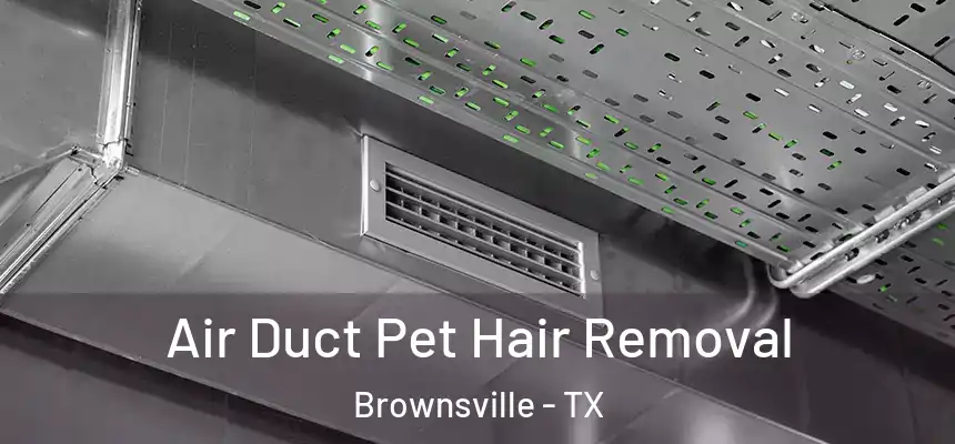 Air Duct Pet Hair Removal Brownsville - TX
