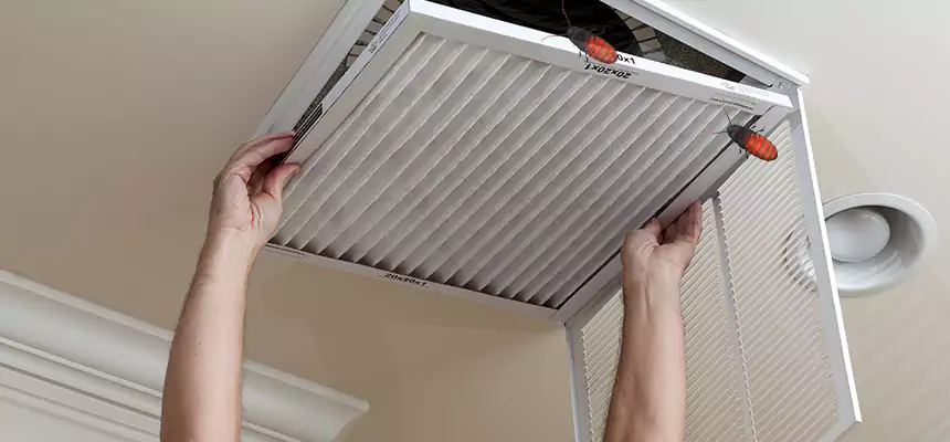 Our Insect Removal from Air Ducts Services in Brownsville, TX