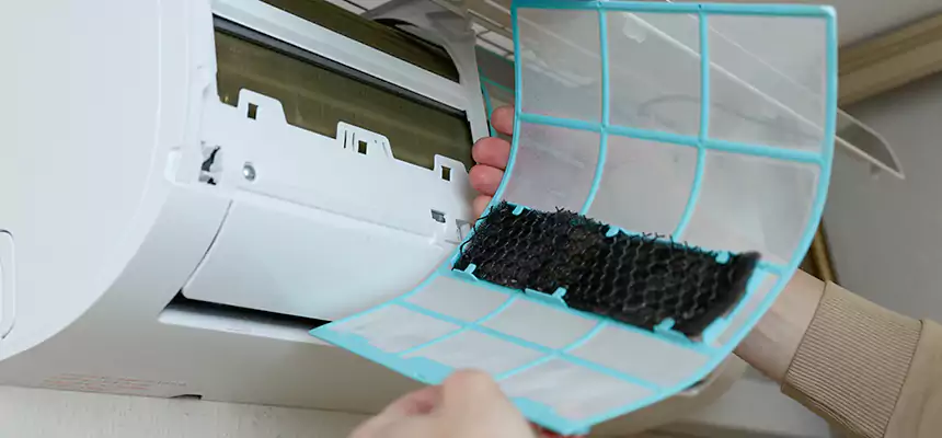 Gentle Ductwork Odor-Control Pet Dander Duct Cleaning in Brownsville, TX