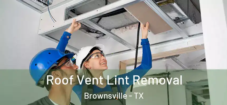  Roof Vent Lint Removal Brownsville - TX