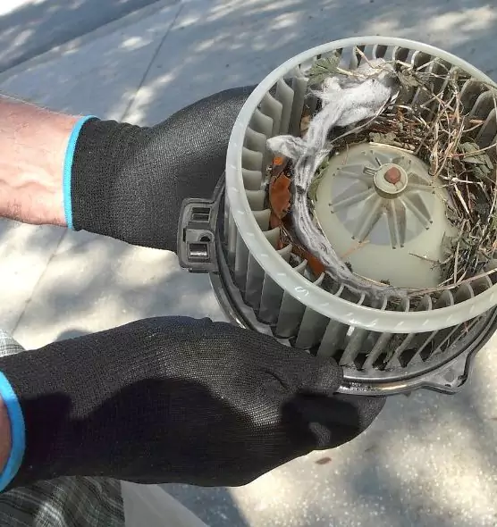 About Air Duct Rat Removal in Brownsville, TX