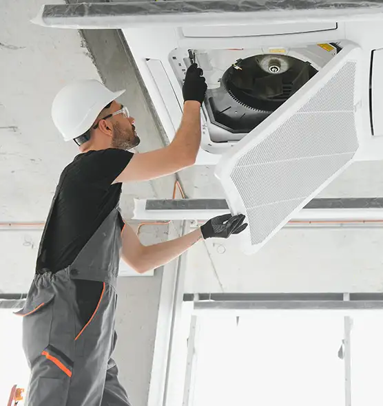 About Air Duct Rodent Removal in Brownsville, TX