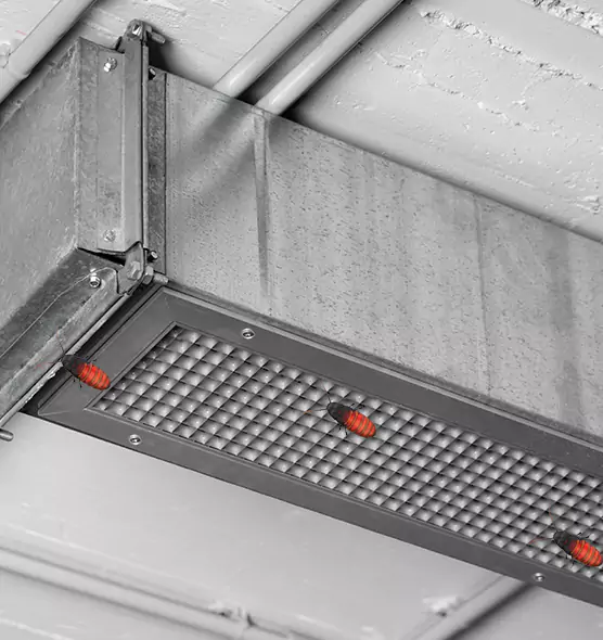 Affordable Insect Removal from Air Ducts in Brownsville, TX