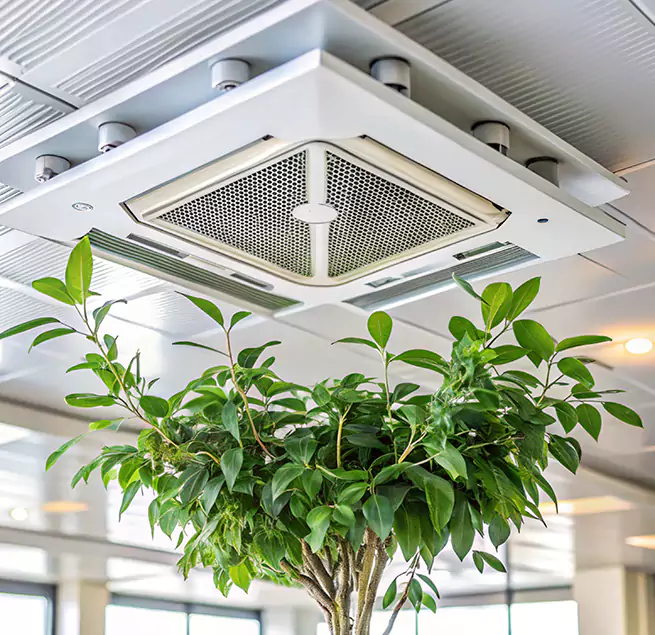 Why Homeowners & Businesses Trust Us in Brownsville, TX?