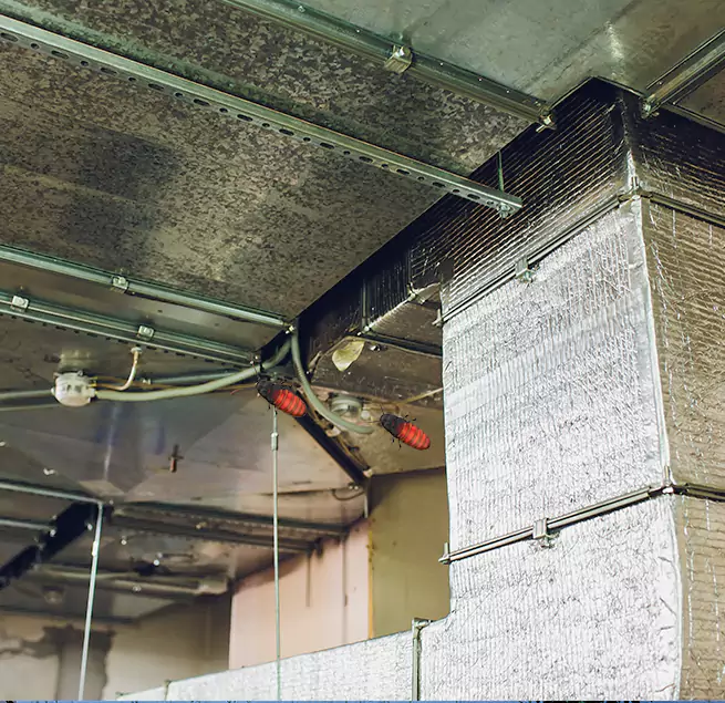 Why Homeowners & Businesses Trust Us Brownsville, TX?